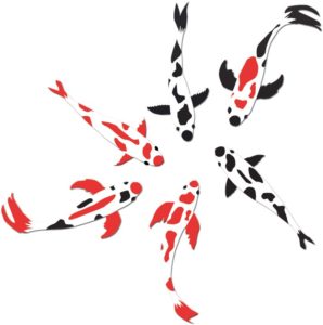 Photo of a group of 6 koi fish pool mosaic