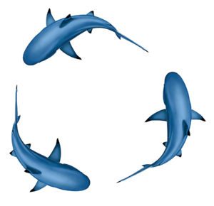 Photo of circling sharks pool mosaic