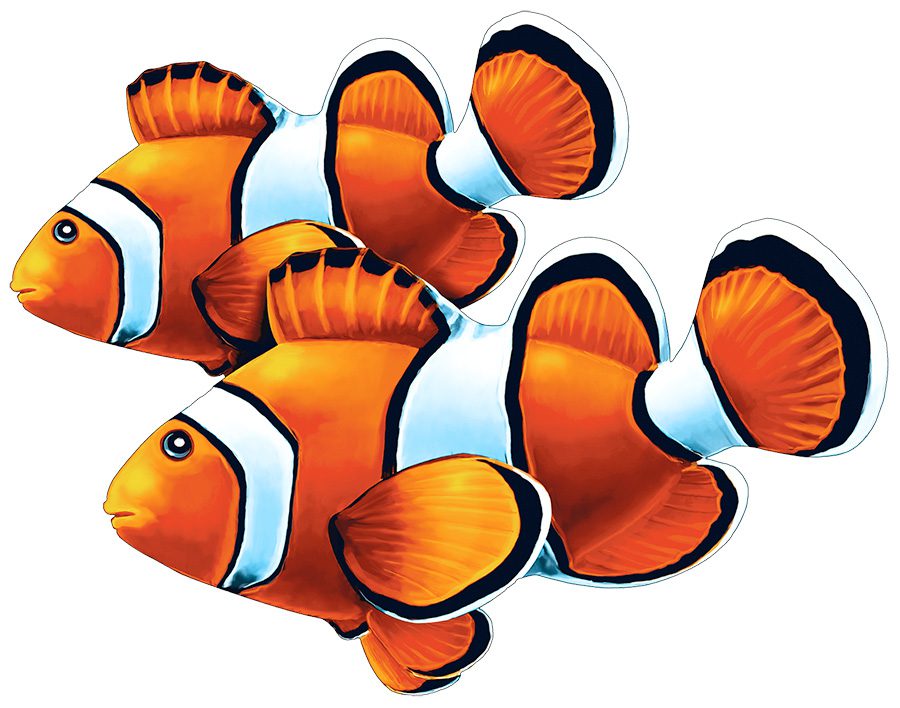 Splashing Around with Clownfish Mosaics: Ocean Fun for Your Pool