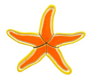 Photo of orange starfish pool mosaic