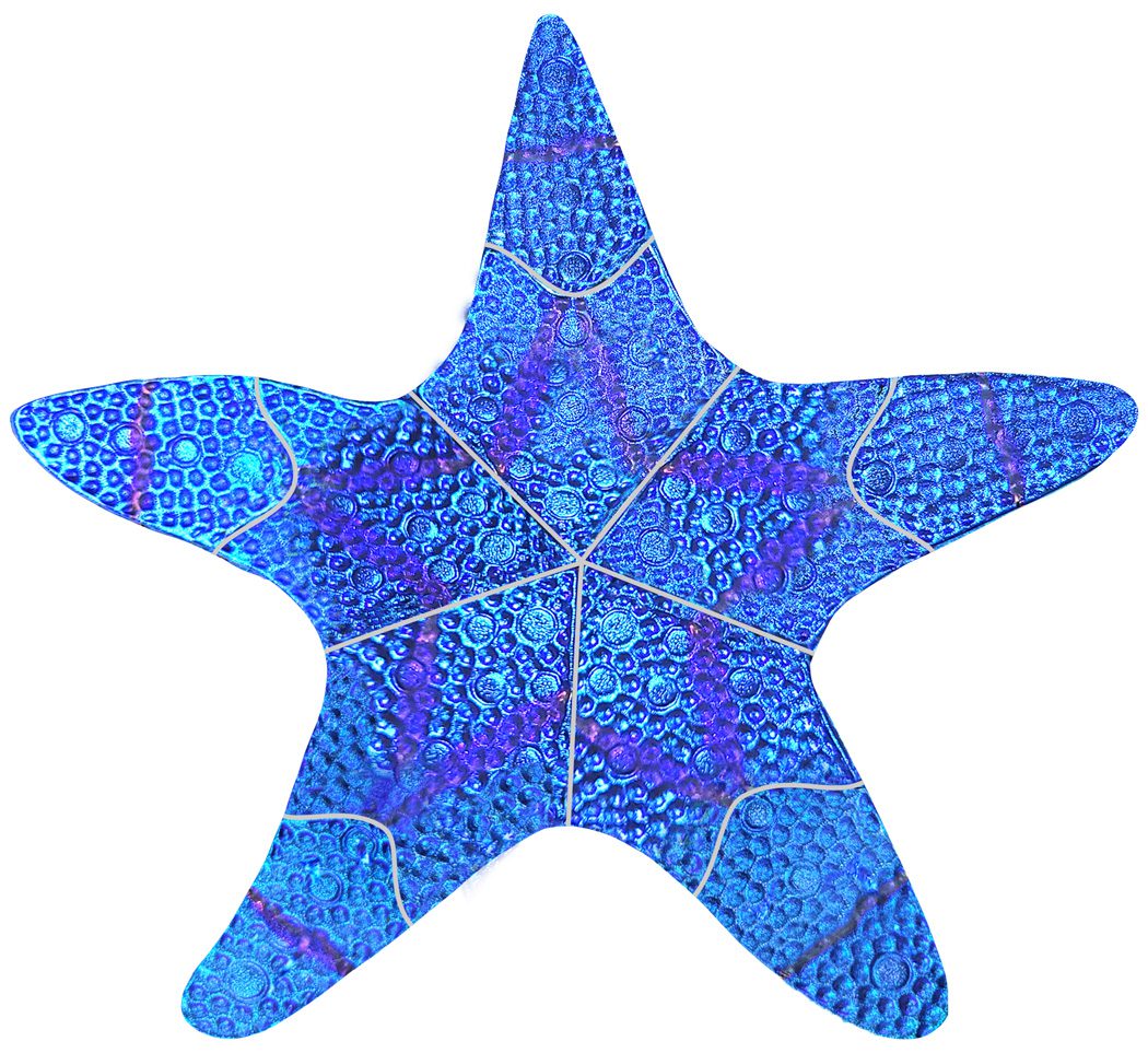 Submerge Yourself in a Beach-Inspired Oasis with Shell and Starfish Mosaics