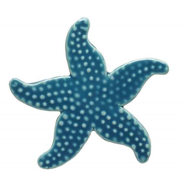 Starfish Pool Mosaic