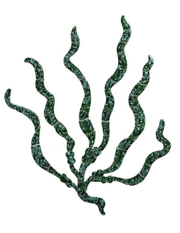 Sea Grass Pool Mosaic