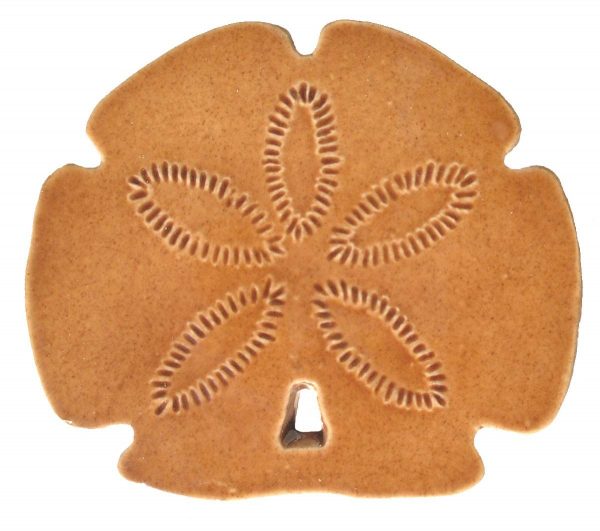 Sand Dollar Pool Mosaic