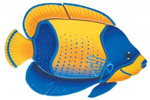 MA54  Majestic Angelfish