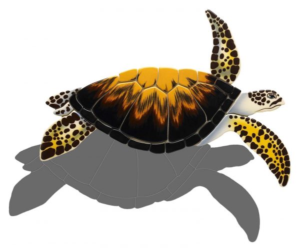 Loggerhead Turtle Pool Mosaic