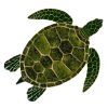 Sea Turtle Pool Mosaic