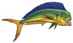 Mahi Mahi Straight Pool Mosaic