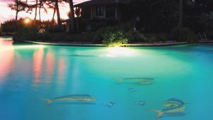 Mahi Mahi Up Pool Mosaic