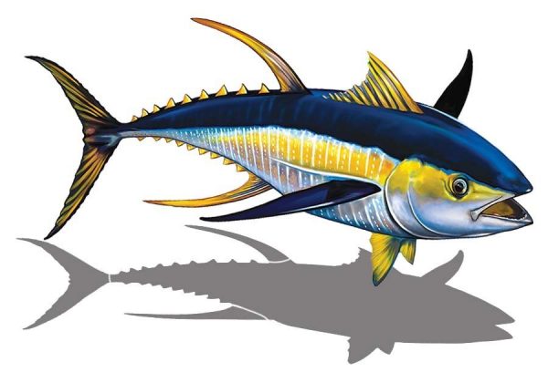 Tuna Pool Mosaic