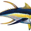 Tuna Pool Mosaic