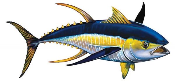 Tuna Pool Mosaic