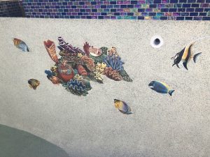 Coral Reef C Pool Mosaic