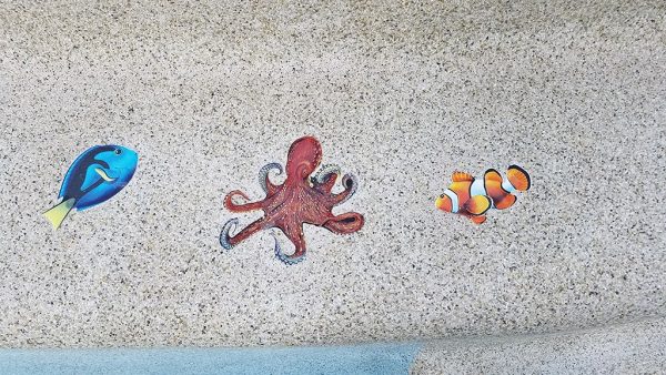 Octopus Pool Mosaic