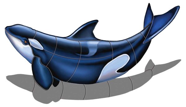 Orca B Pool Mosaic