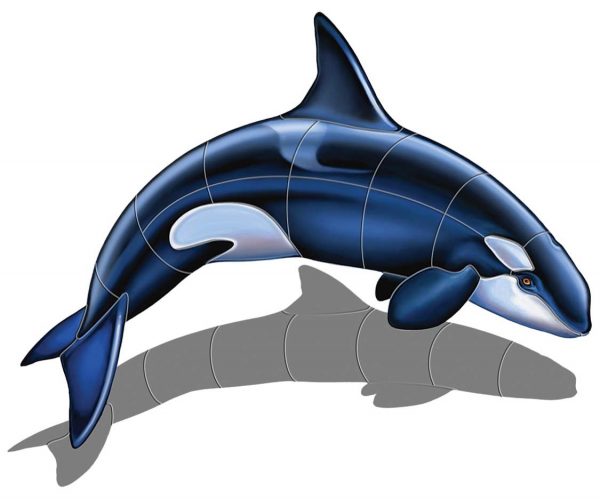 Orca A Pool Mosaic