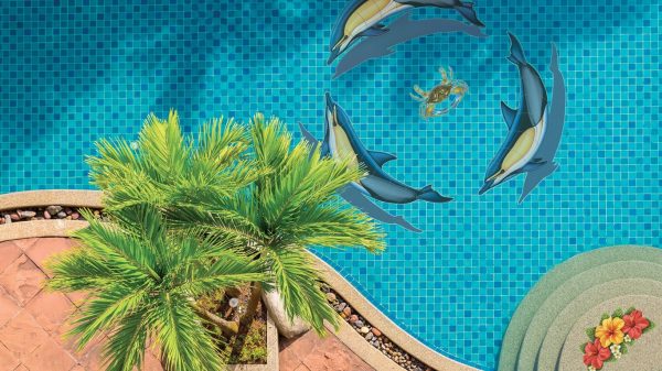 Common Dolphin B Pool Mosaic