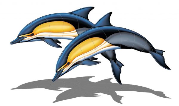 Common Dolphin A (Double) Pool Mosaic