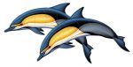 Common Dolphin A (Double) Pool Mosaic