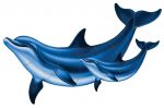 Double Bottlenose Dolphin B with Baby Pool Mosaic