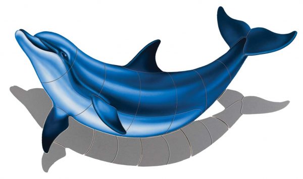 Bottlenose Dolphin B Pool Mosaic
