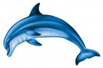 Bottlenose Dolphin A Pool Mosaic