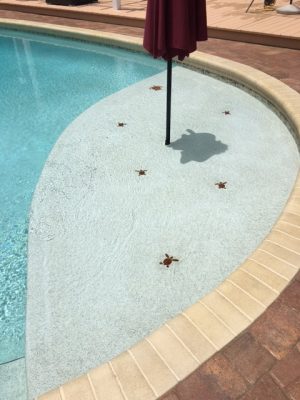 Mini Loggerhead Turtle Pool Mosaic