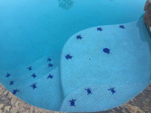 Mini Loggerhead Turtle Pool Mosaic