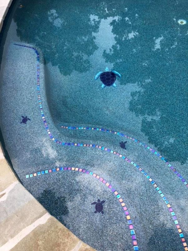 Mini Loggerhead Turtle Pool Mosaic