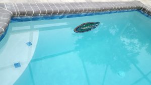 University of Florida Gator Head Pool Mosaic