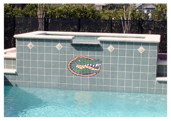 University of Florida Gator Head Pool Mosaic