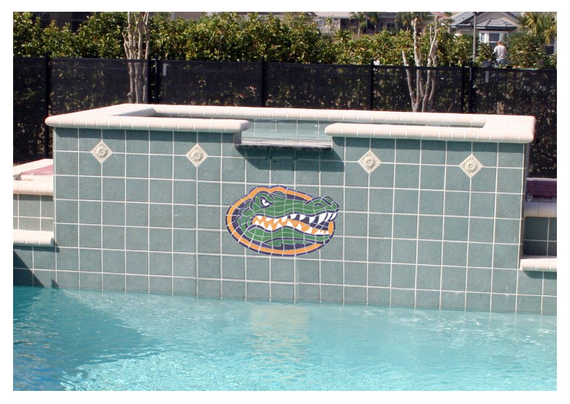 Custom Gato head pool 