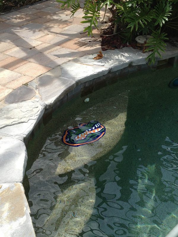University of Florida Gator Head Pool Mosaic
