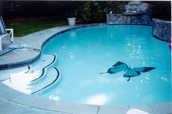 Papilio Ulyesses Butterfly Pool Mosaic
