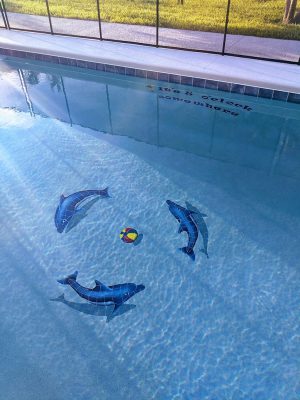 Dolphin Group Pool Mosaic