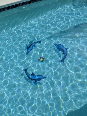 Dolphin Group Pool Mosaic