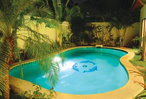 Dolphin Group Pool Mosaic