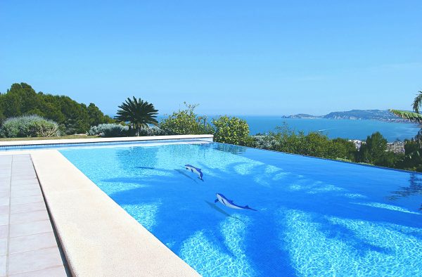 Bottlenose Dolphin Downward Pool Mosaic