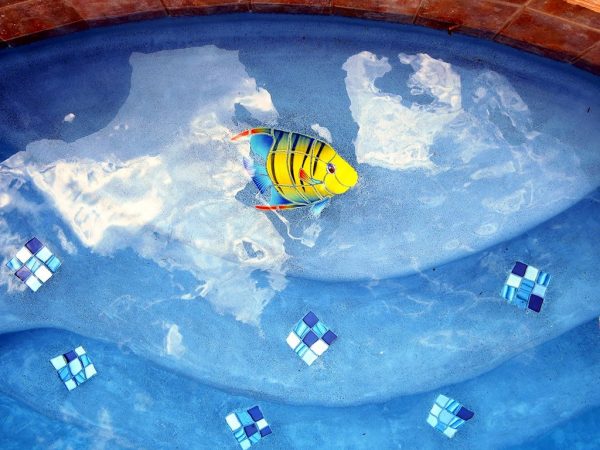 Banded Angel Fish Pool Mosaic