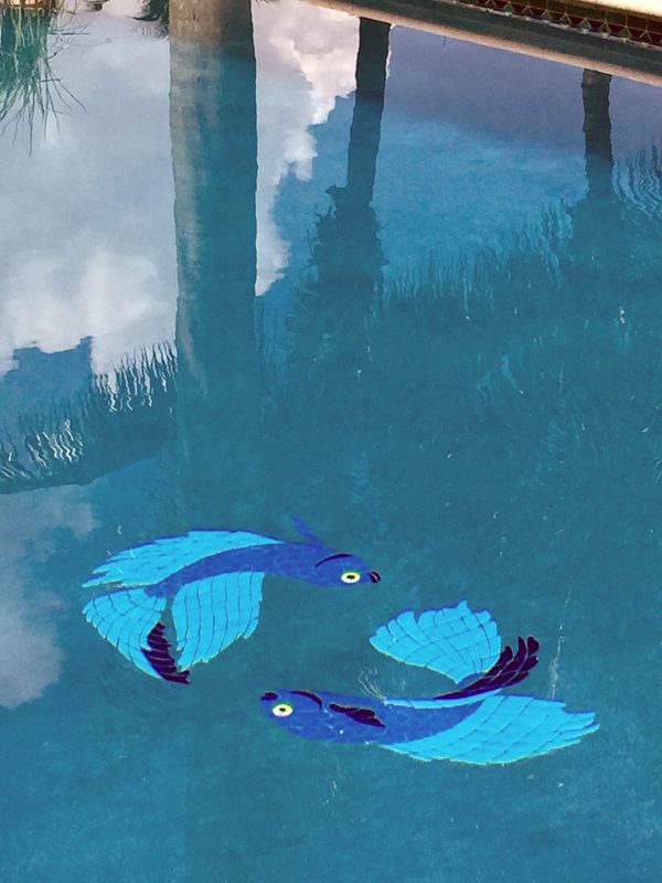 Beta Fish Pair Pool Mosaic