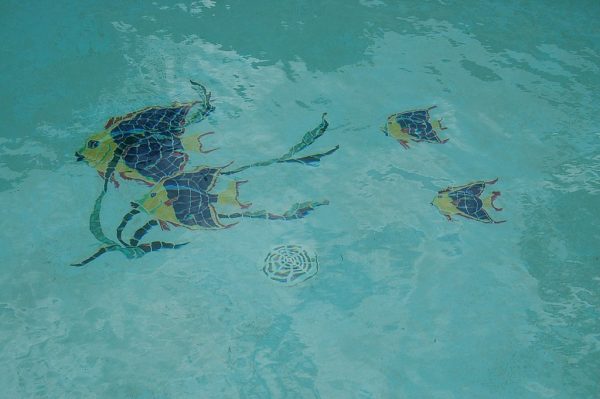 Rock Beauty Group Pool Mosaic