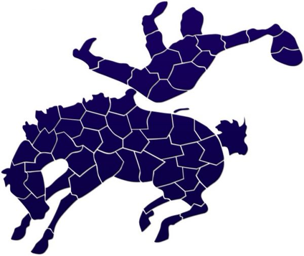 Bucking Bronc Pool Mosaic