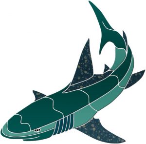 Teal