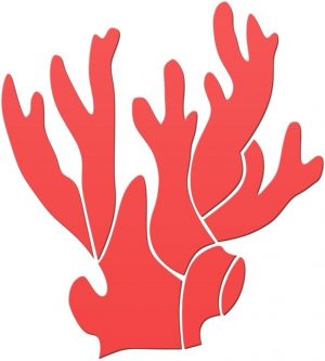 Coral