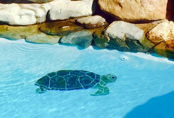 Turtle Sideview Pool Mosaic