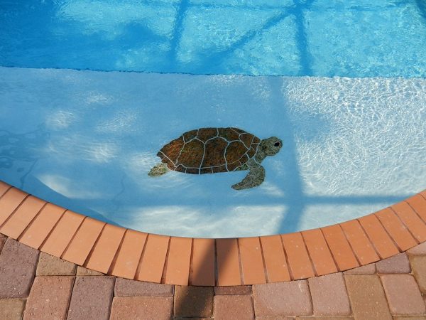 Turtle Sideview Pool Mosaic