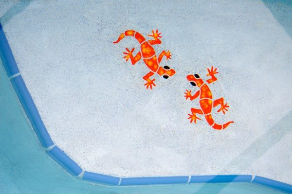 Small Gecko Pool Mosaic