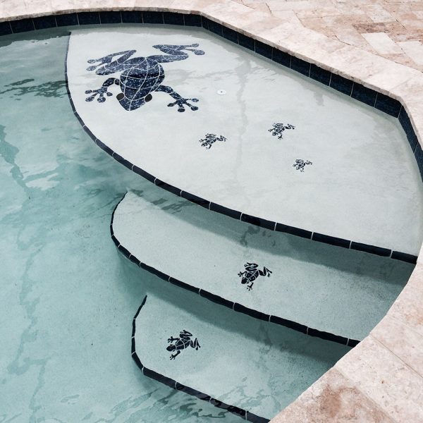 Small Frog Pool Mosaic
