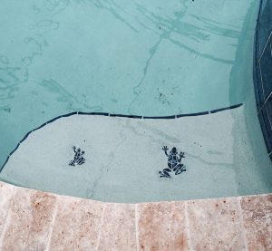 Small Frog Pool Mosaic