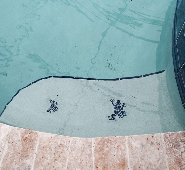 Small Frog Pool Mosaic